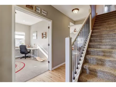 409 Audubon Blvd, Severance, CO 80550 photo 11