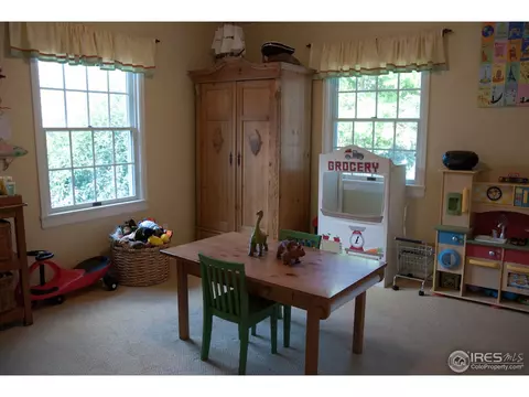 1004 Grant Pl, Boulder, CO 80302 photo 18