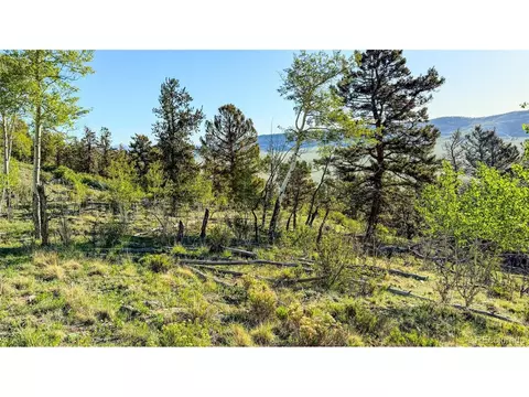 4924 Middle Fork Vis, Fairplay, CO 80440 photo 28