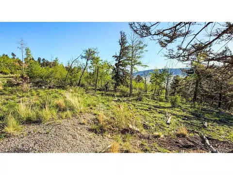 4924 Middle Fork Vis, Fairplay, CO 80440 photo 21