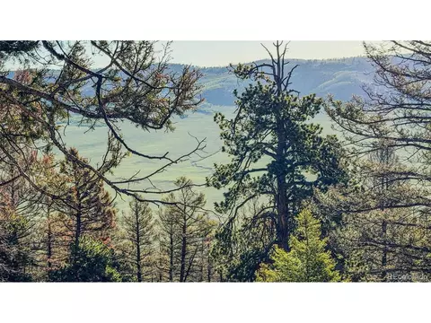 4924 Middle Fork Vis, Fairplay, CO 80440 photo 25