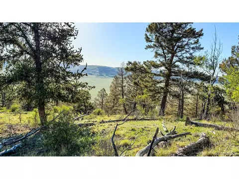 4924 Middle Fork Vis, Fairplay, CO 80440 photo 3