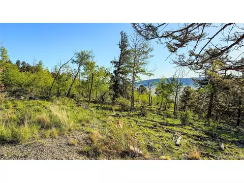 4924 Middle Fork Vis, Fairplay, CO 80440 photo 20
