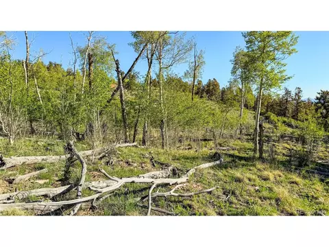 4924 Middle Fork Vis, Fairplay, CO 80440 photo 27