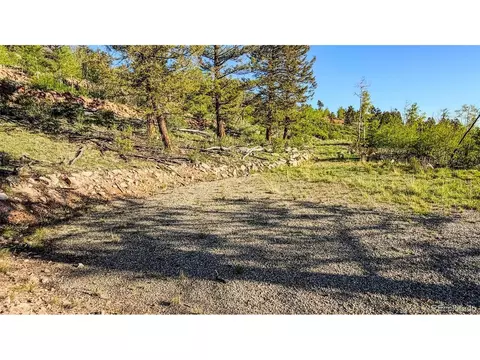 4924 Middle Fork Vis, Fairplay, CO 80440 photo 22