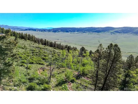 4924 Middle Fork Vis, Fairplay, CO 80440 photo 6