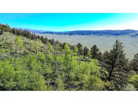 4924 Middle Fork Vis, Fairplay, CO 80440 photo 10