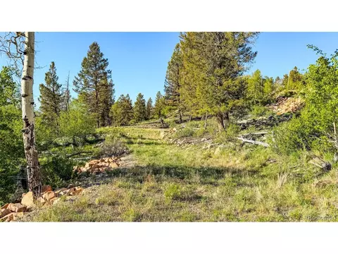 4924 Middle Fork Vis, Fairplay, CO 80440 photo 2