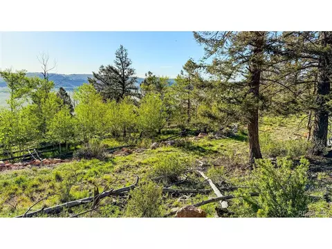 4924 Middle Fork Vis, Fairplay, CO 80440 photo 35