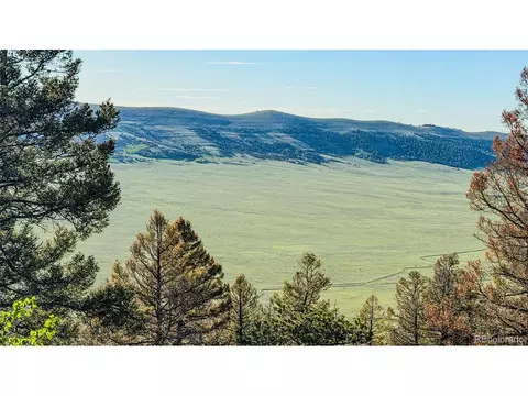 4924 Middle Fork Vis, Fairplay, CO 80440 photo 26