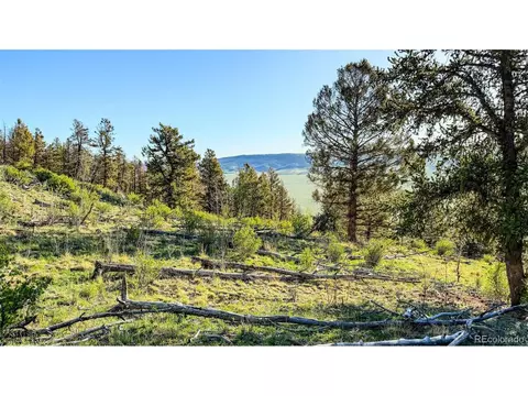 4924 Middle Fork Vis, Fairplay, CO 80440 photo 29