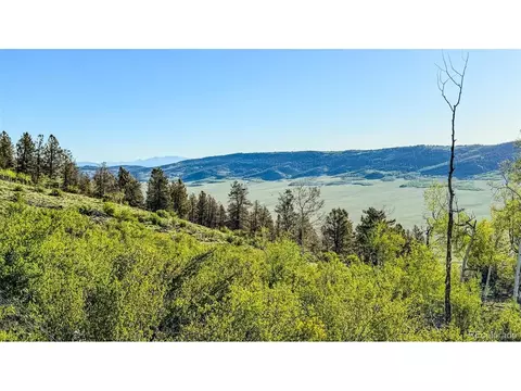 4924 Middle Fork Vis, Fairplay, CO 80440 photo 30