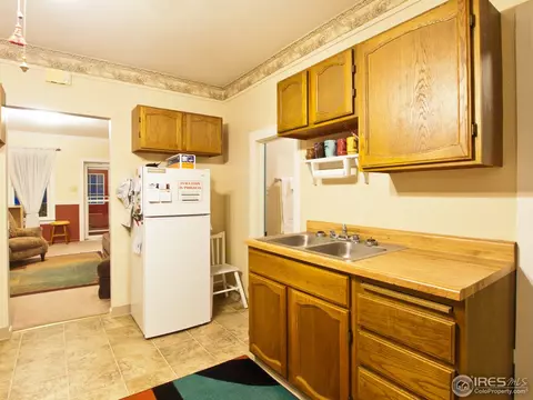 225 Locust St, Windsor, CO 80550 photo 8