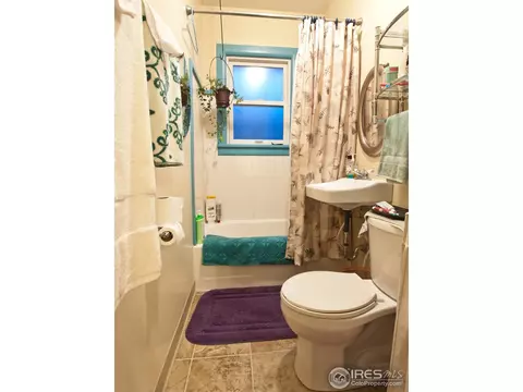 225 Locust St, Windsor, CO 80550 photo 21