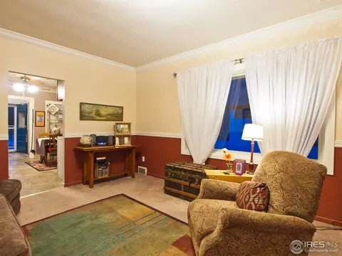 225 Locust St, Windsor, CO 80550 photo 11