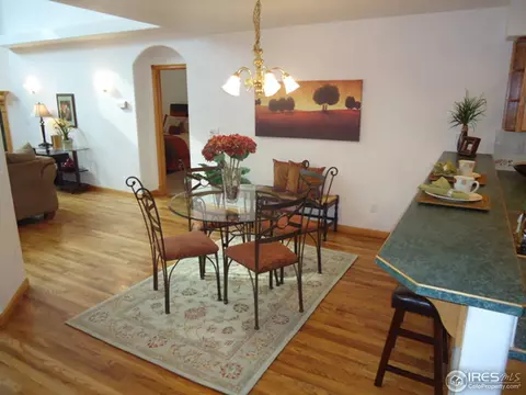 299 Columbus St, Windsor, CO 80550 photo 8