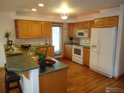 299 Columbus St, Windsor, CO 80550 photo 10
