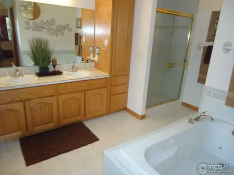 299 Columbus St, Windsor, CO 80550 photo 16