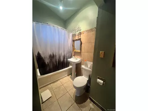 173 Evans View Dr, Black Hawk, CO 80422 photo 7