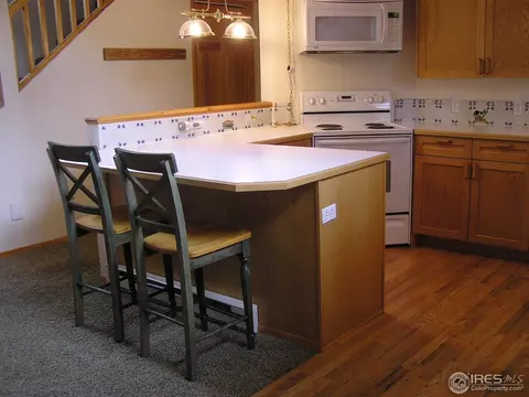 439 Hickory Dr, Lyons, CO 80540 photo 21