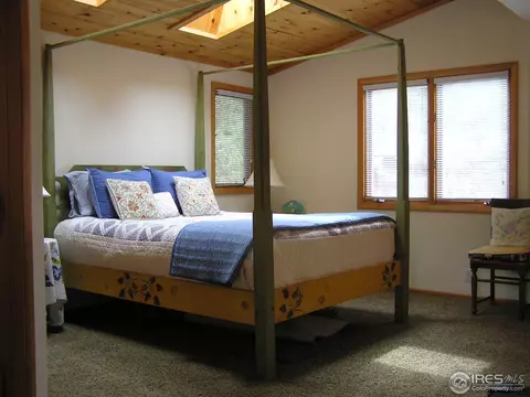 439 Hickory Dr, Lyons, CO 80540 photo 11