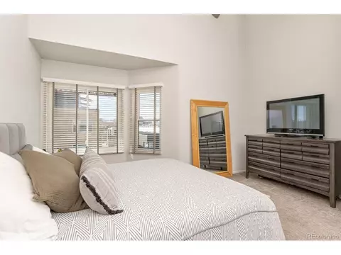 3149 Blake St #206, Denver, CO 80205 photo 29