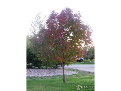 4416 Prairie Ct, Windsor, CO 80550 photo 22