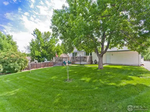 7375 Webster St, Arvada, CO 80003 photo 22