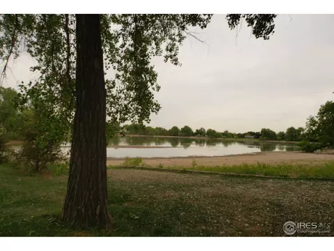 1189 Eagle Rd, Broomfield, CO 80020 photo 25