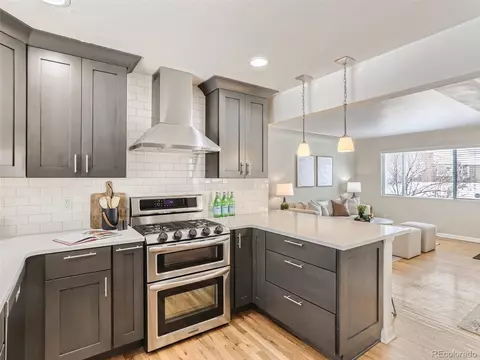 7310 E 12th Ave, Denver, CO 80220 photo 10