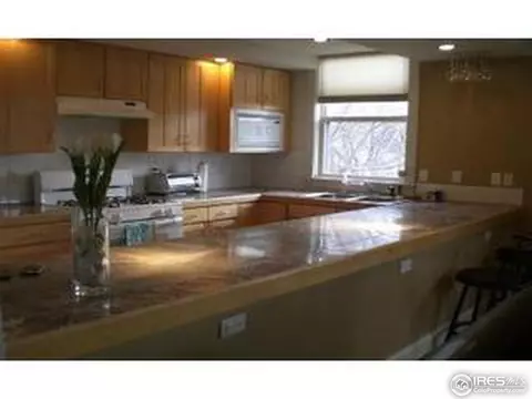 424 E 1st Ave #1A, Denver, CO 80203 photo 24