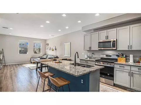 16251 E 47th Pl, Denver, CO 80239 photo 9