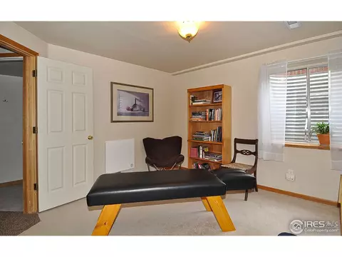 903 Ridge Ct, Windsor, CO 80550 photo 20