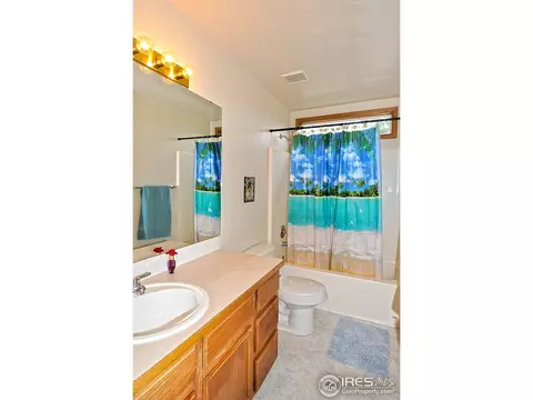 903 Ridge Ct, Windsor, CO 80550 photo 17