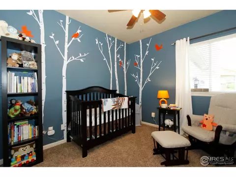 3113 66th Ave, Greeley, CO 80634 photo 15