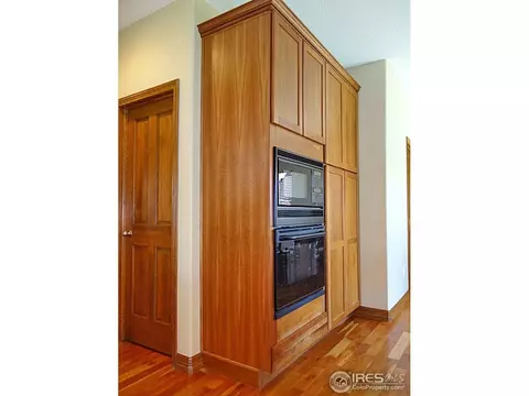413 Whitney Hbr, Windsor, CO 80550 photo 13