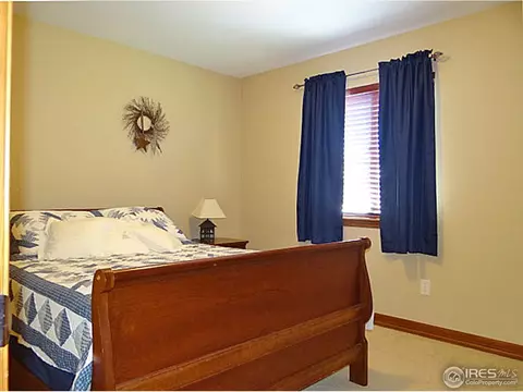 413 Whitney Hbr, Windsor, CO 80550 photo 22