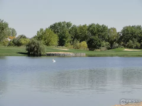 413 Whitney Hbr, Windsor, CO 80550 photo 25