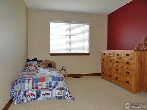 413 Whitney Hbr, Windsor, CO 80550 photo 23