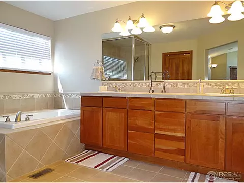413 Whitney Hbr, Windsor, CO 80550 photo 19