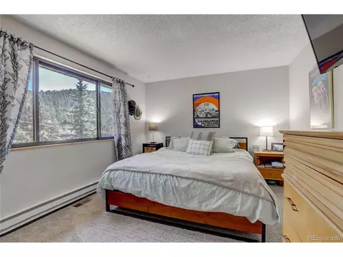 905 Roland Dr, Bailey, CO 80421 photo 7