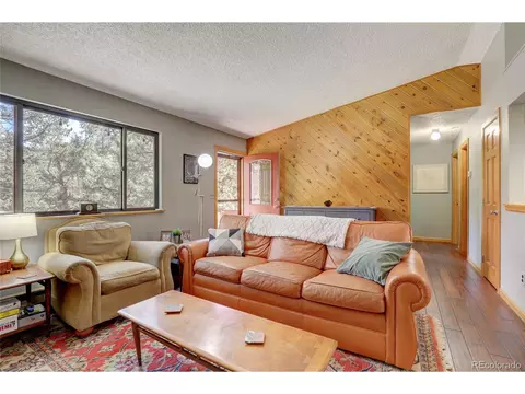 905 Roland Dr, Bailey, CO 80421 photo 5