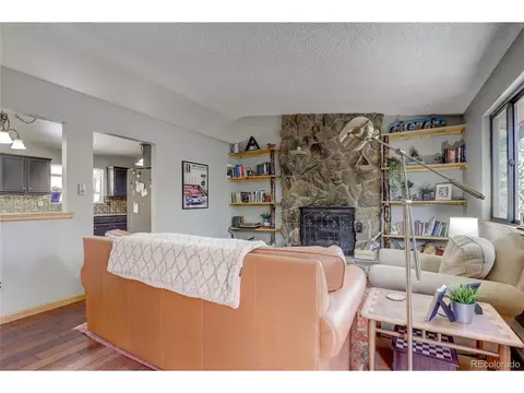 905 Roland Dr, Bailey, CO 80421 photo 4