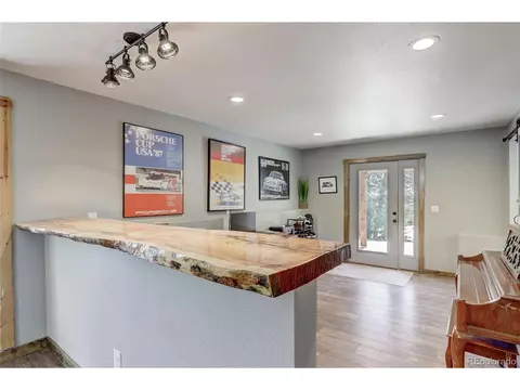 905 Roland Dr, Bailey, CO 80421 photo 9