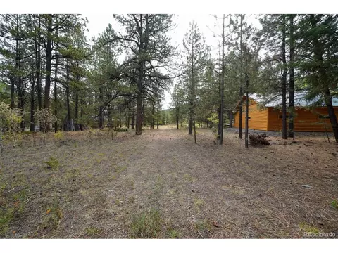 136 Elk Meadow Run, Antonito, CO 81120