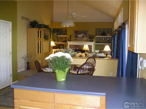 11383 Deerfield Dr, Firestone, CO 80504 photo 25