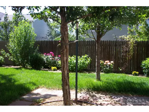 11383 Deerfield Dr, Firestone, CO 80504 photo 21