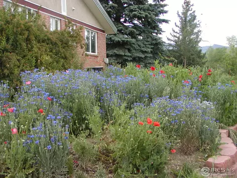 7646 34th Ct, Boulder, CO 80302 photo 23