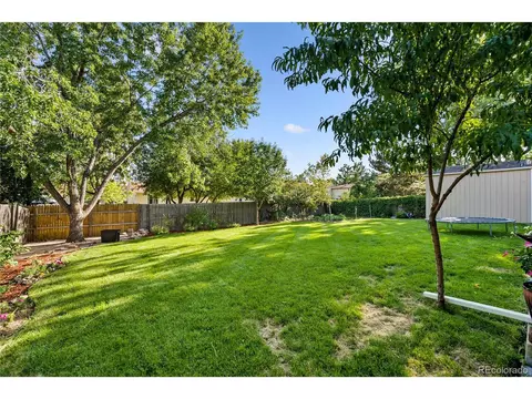 4256 E 91st Pl, Thornton, CO 80229 photo 5