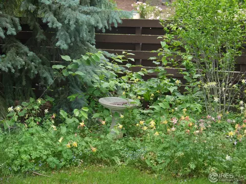 1955 Grape Ave, Boulder, CO 80304 photo 15
